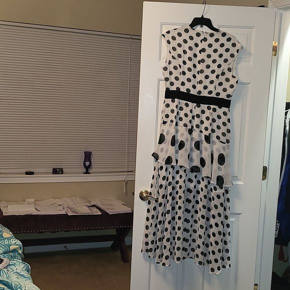 Polka Dot Dress - Picture 3 of 3